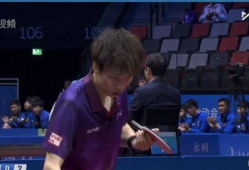 乒乓球直播视频直播,激情对决，谁将问鼎冠军宝座？